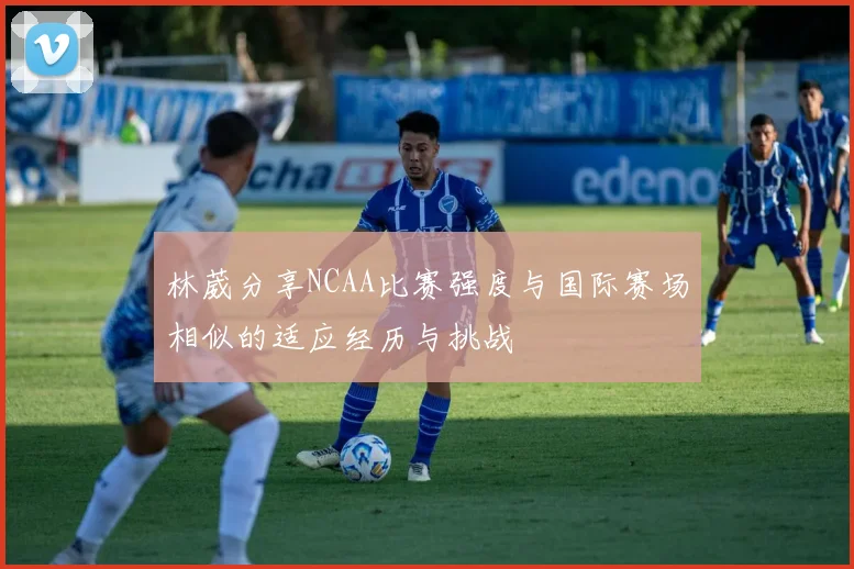 林葳分享NCAA比赛强度与国际赛场相似的适应经历与挑战
