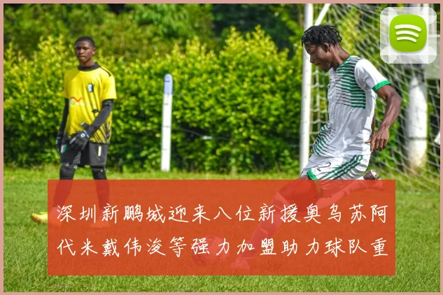 深圳新鹏城迎来八位新援奥乌苏阿代米戴伟浚等强力加盟助力球队重塑辉煌